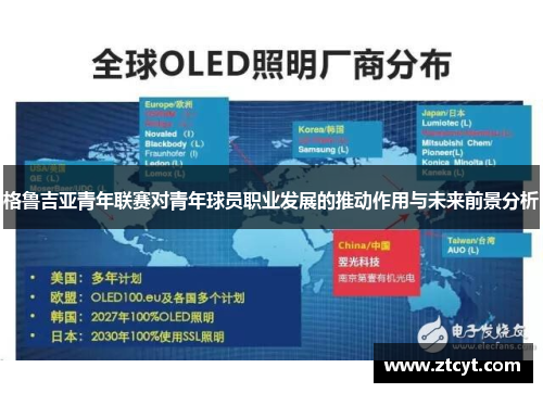 格鲁吉亚青年联赛对青年球员职业发展的推动作用与未来前景分析