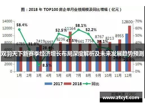 双羽天下新赛季经济增长布局深度解析及未来发展趋势预测