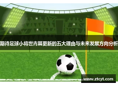 期待足球小将世青篇更新的五大理由与未来发展方向分析