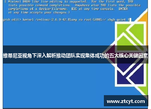 维蒂尼亚视角下深入解析推动团队实现集体成功的五大核心关键因素